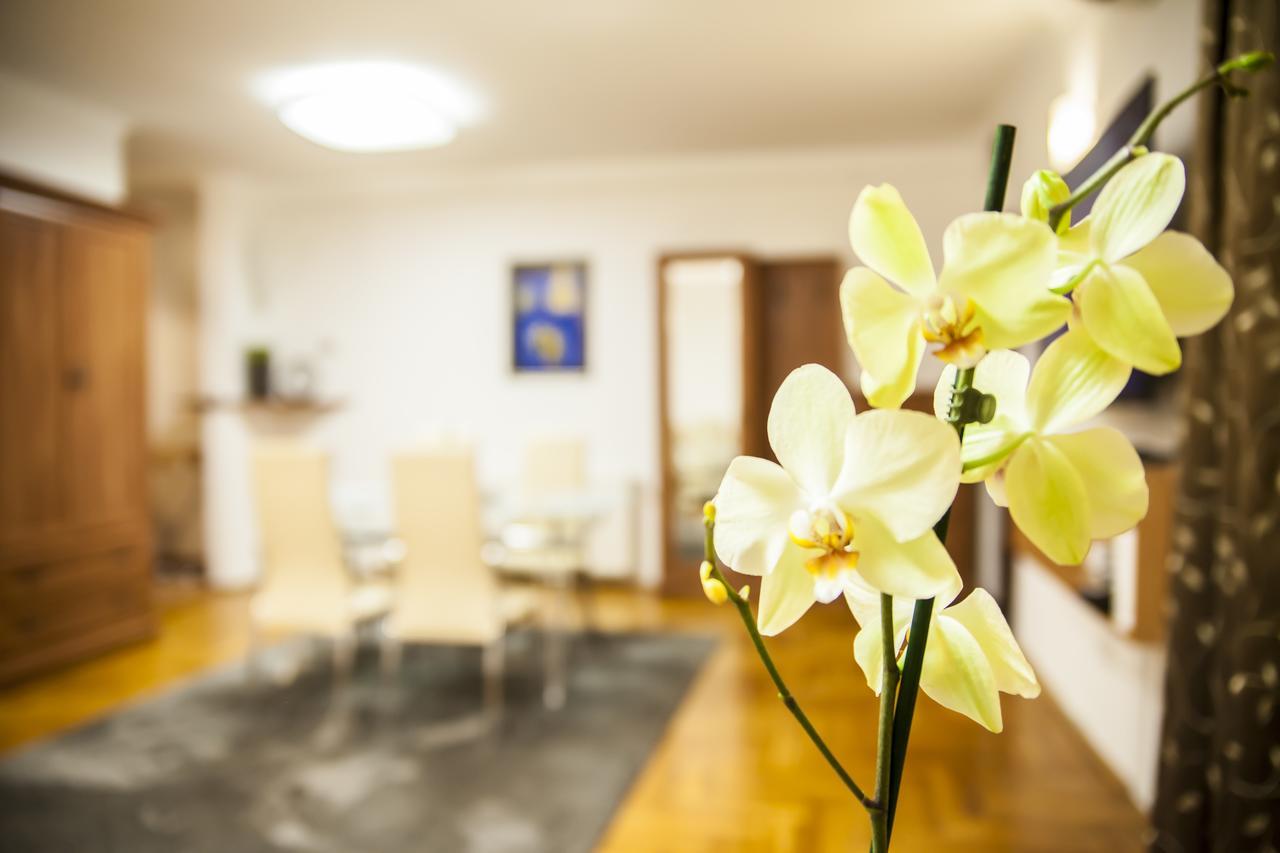 Business Class Apartment Kaloşvar Dış mekan fotoğraf