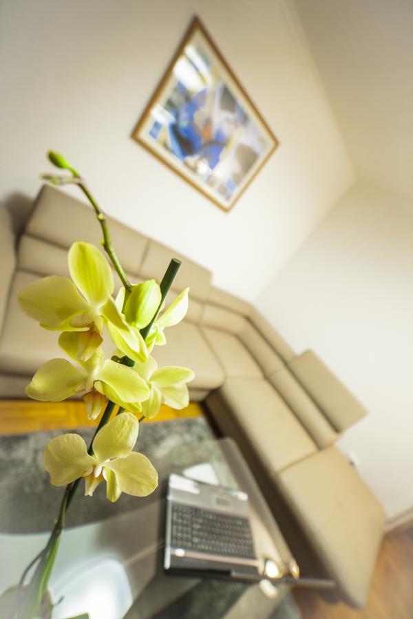 Business Class Apartment Kaloşvar Dış mekan fotoğraf